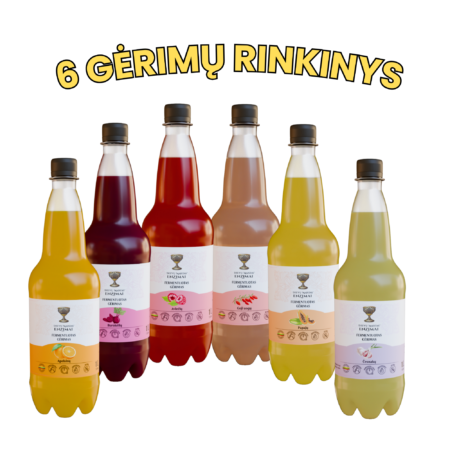 6 vnt. fermentuotų gėrimų rinkinys