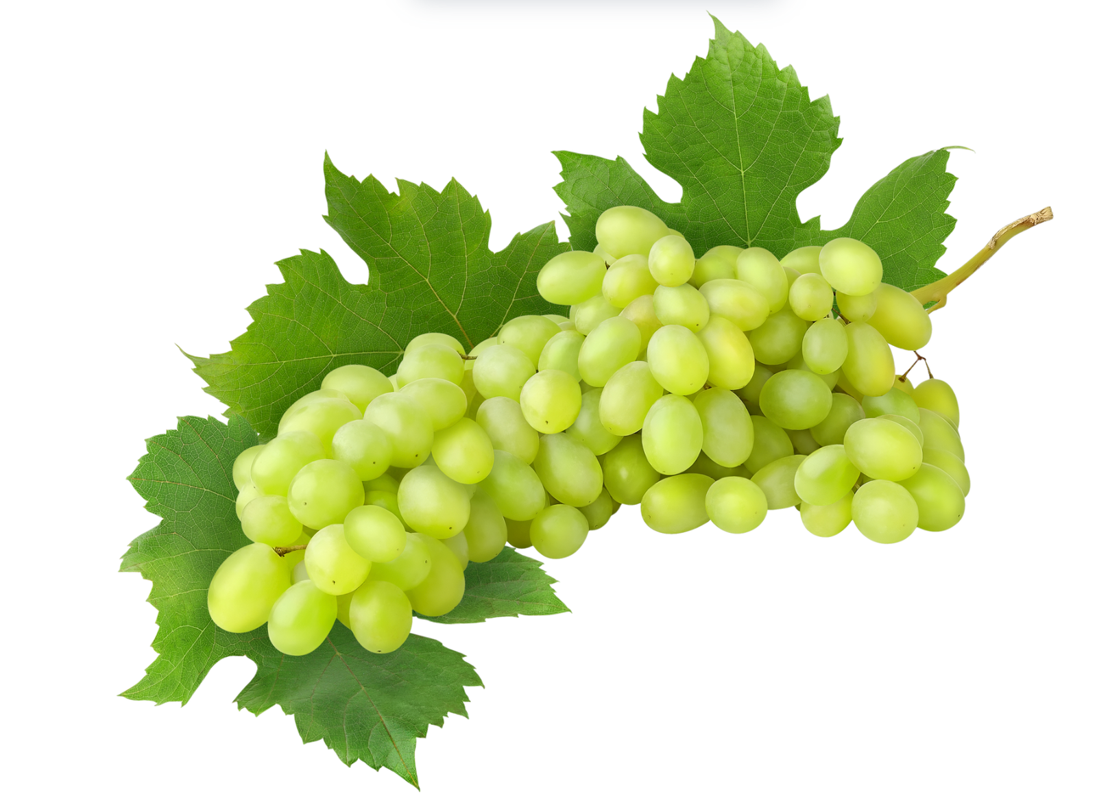 Žaliųjų vynuogių fermentuotas gėrimas - Image 3