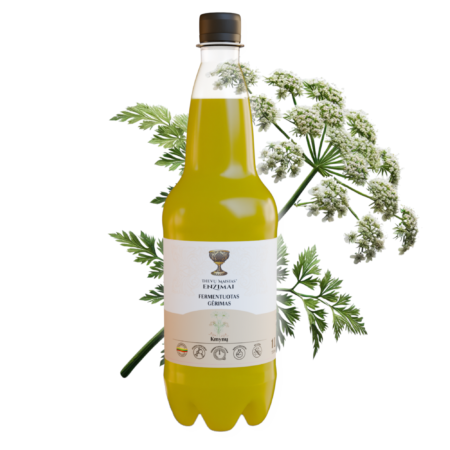 Kmynų fermentuotas gėrimas