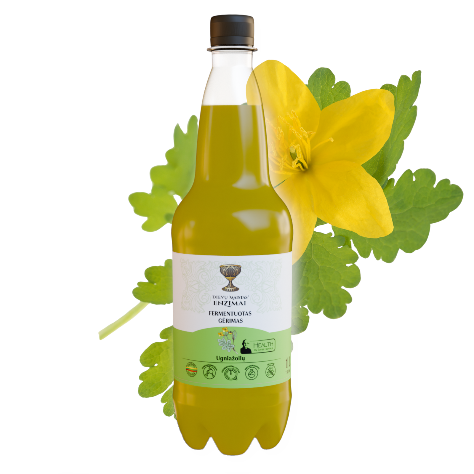 Ugniažolių fermentuotas gėrimas