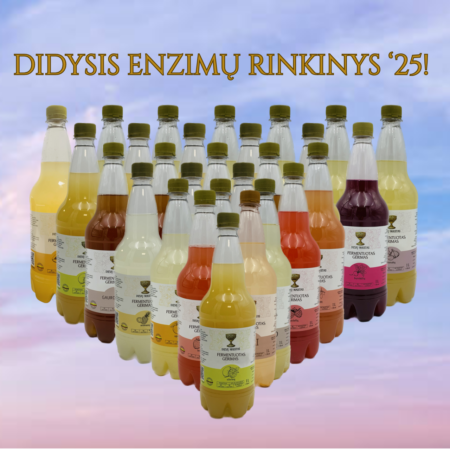 Didysis Fermentuotų Enzimų Gėrimų Rinkinys!