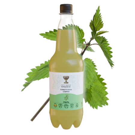 Dilgėlių fermentuotas gėrimas