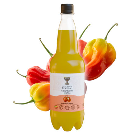 Habanerų fermentuotas gėrimas