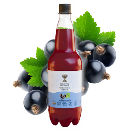 Juodųjų serbentų fermentuotas gėrimas