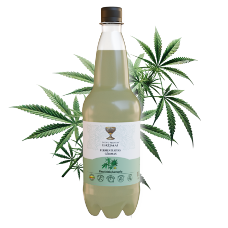 Kanapių fermentuotas gėrimas